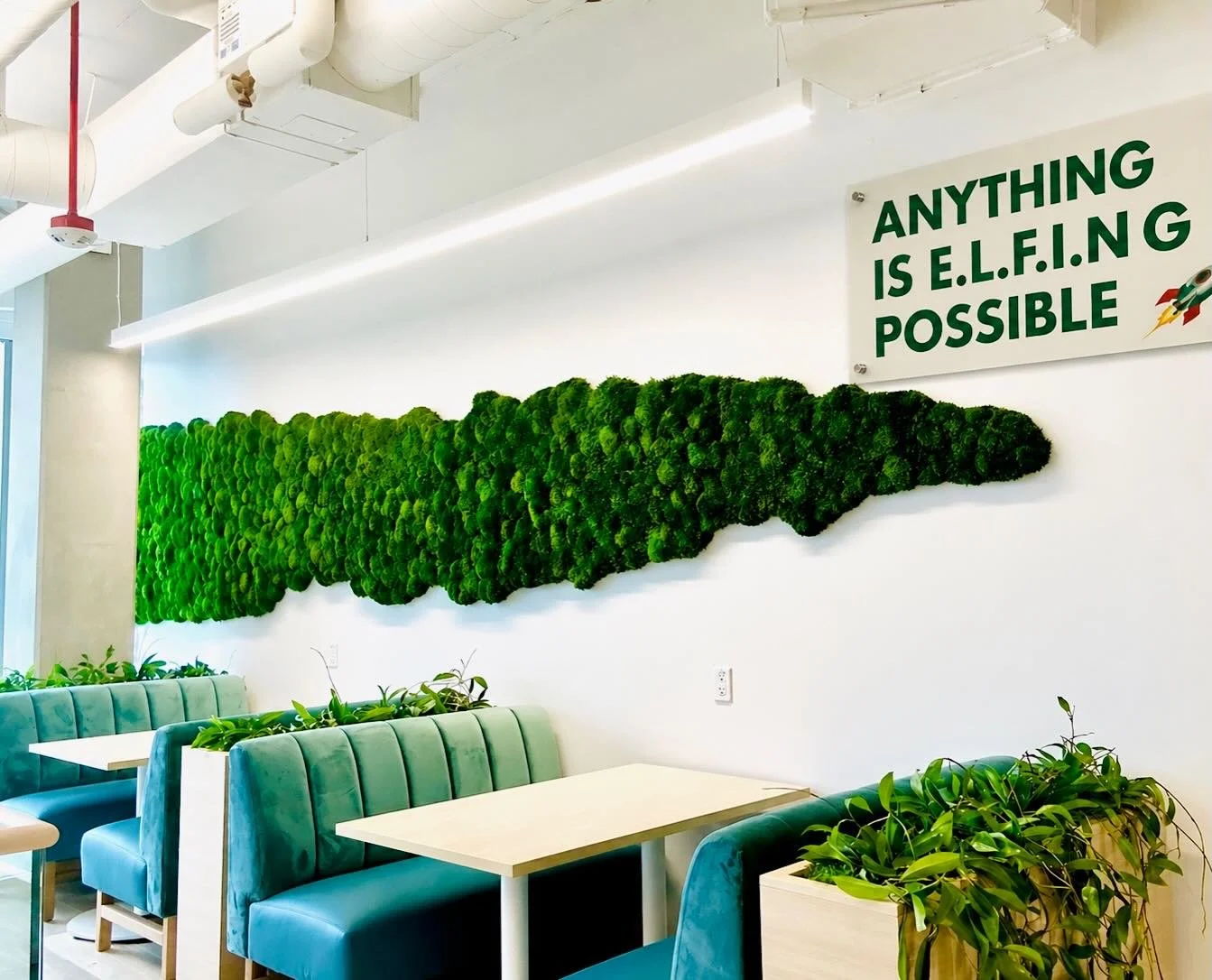 Sometimes, less is more.
This organic-shaped mood moss feature was created for one of our favorite cosmetic brands, @elfcosmetics!

#InteriorDesign #Plants #PlantDesign #CommercialInteriors #InteriorInspo