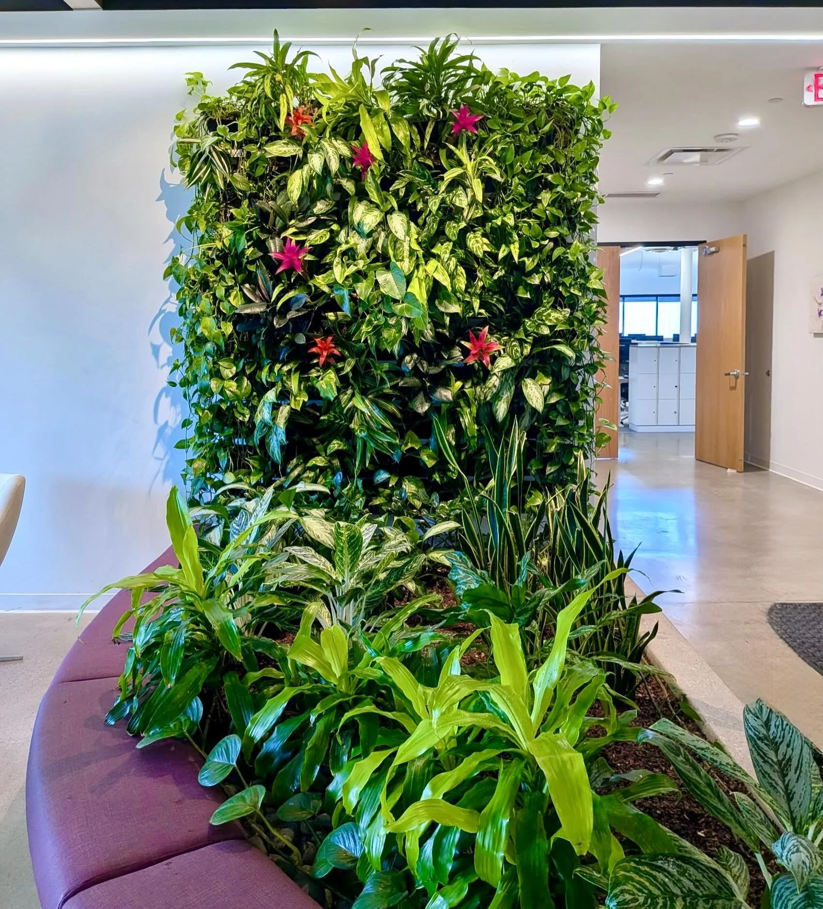 We installed this living wall and garden 7 years ago, and we&rsquo;ve been caring for them ever since. Healthy, vibrant plants don&rsquo;t happen by chance; they result from ongoing attention and consistent maintenance.

Happy 7th Birthday!🌿 

Keep 