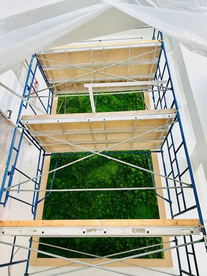 From Planthropy's studio in Columbus, OH to projects across the country, we design, fabricate, deliver, and install nationwide.

Have a project that needs greenery? We&rsquo;d love to hear about it! 🌿

#BiophilicDesign #CommercialInteriors #Interior