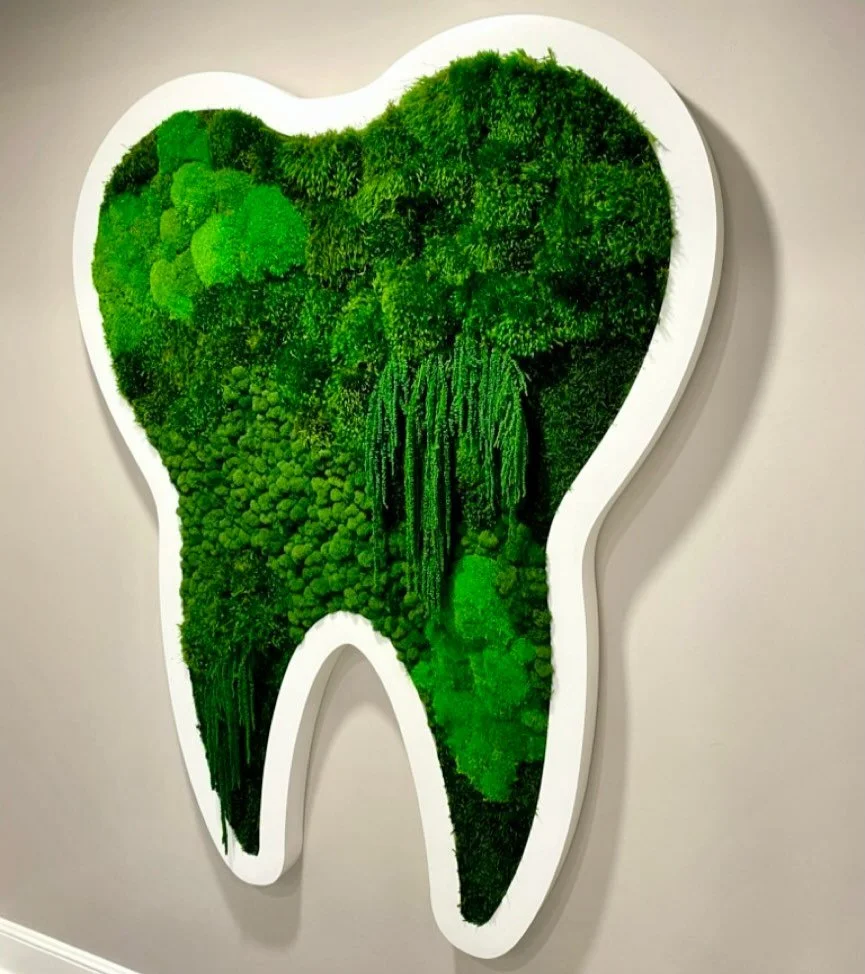 We present to you&hellip; the world&rsquo;s largest and prettiest molar! 

#mossart #plantsofinstagram #custommade #walldecoration #wallartdecor