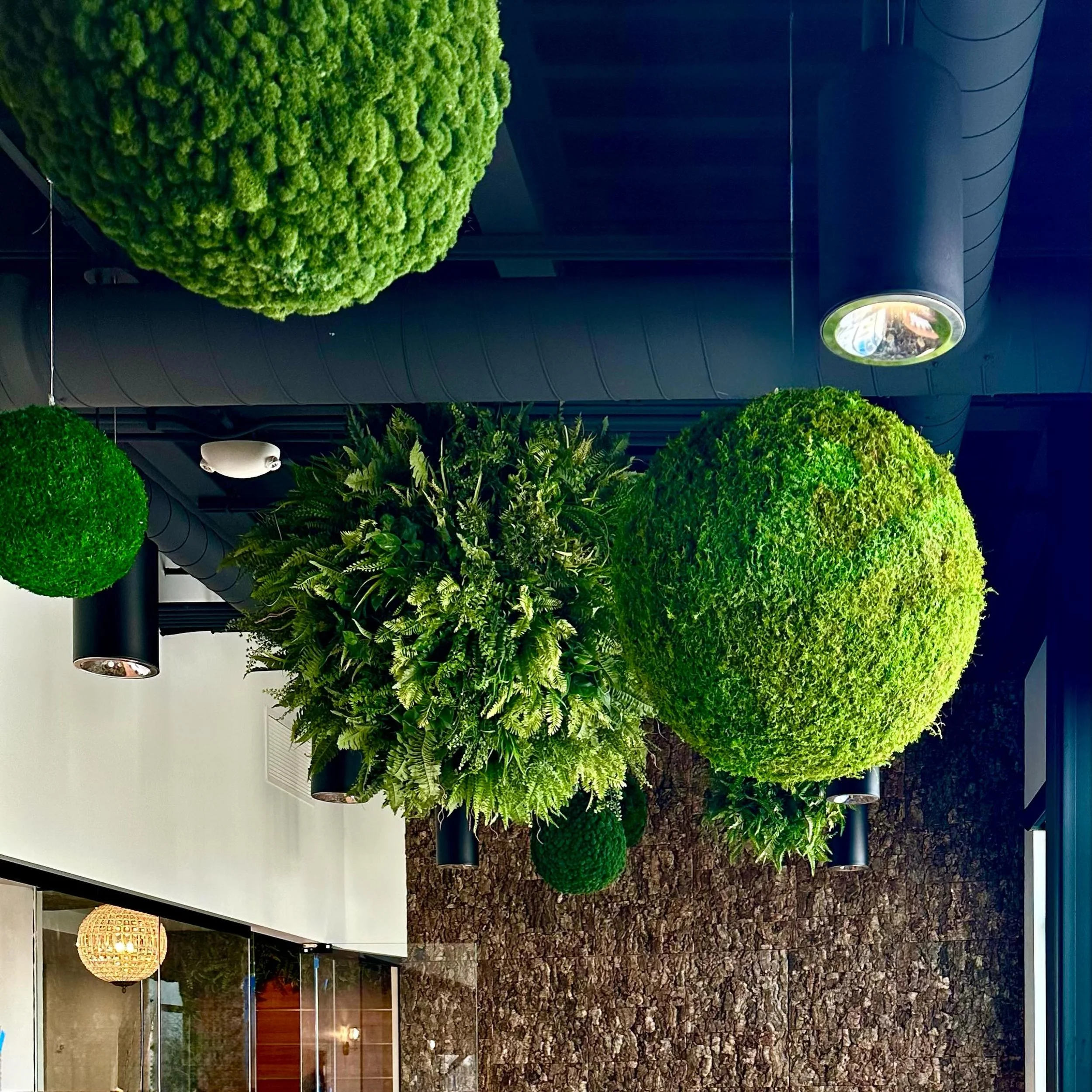 Our Forest Spheres are an underrated approach to overhead greenery. Earthy, sculptural, and a little unexpected. These suspended spheres create a hanging plantscape that feels more like an immersive botanical installation than traditional plant decor