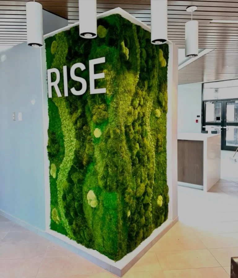 Good design doesn&rsquo;t have to stop at a corner. Wrapping both walls in preserved moss created a seamless transition, transforming an ordinary corner into a natural focal point. 🌿

#interiorinspo #commercialdesign #mosswall #walldecor #interiorde