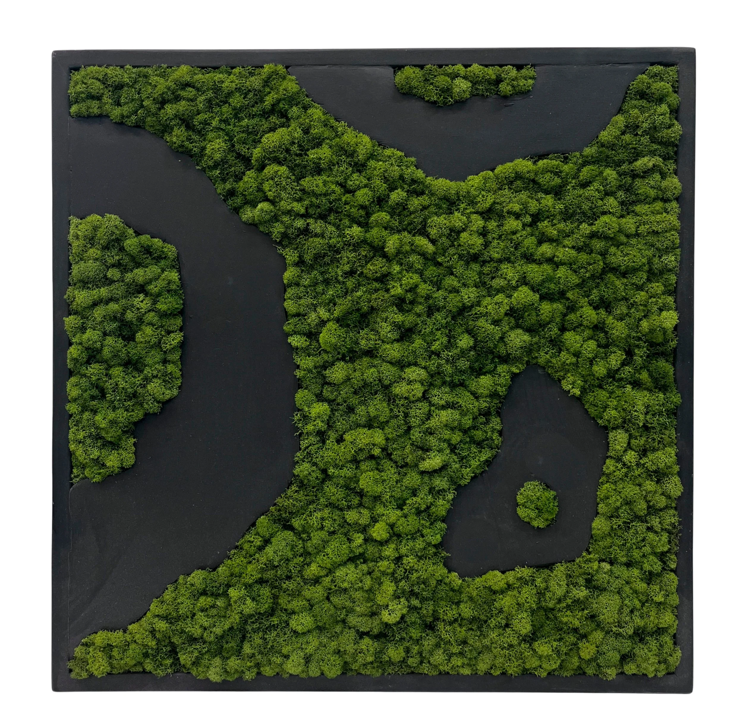 97.jpg