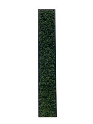 71.jpg