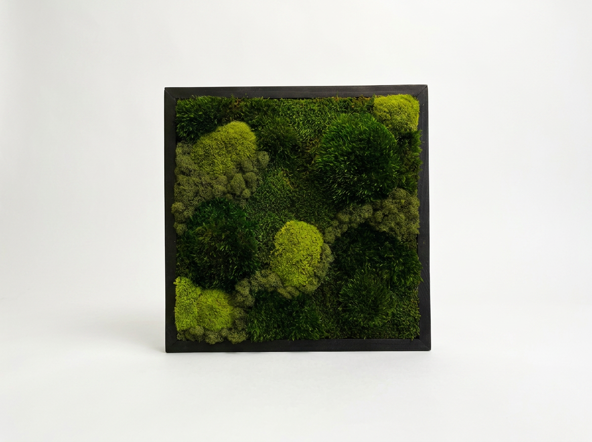 imgg-k5i-m4hi9375.png