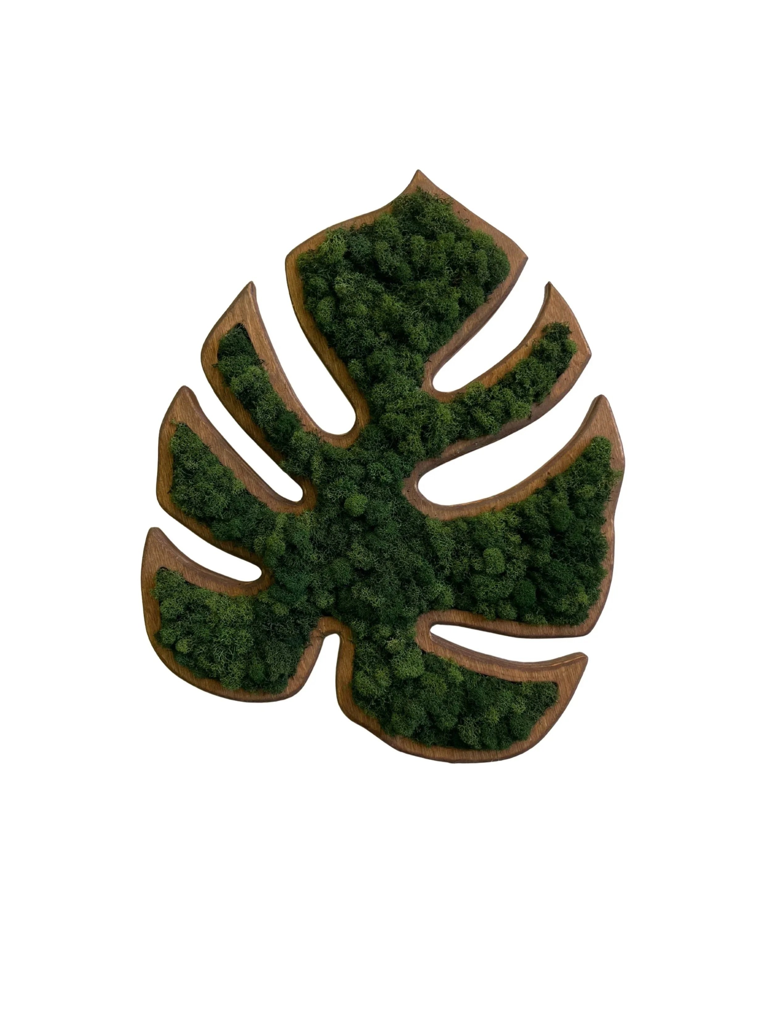 Untitled%2Bdesign%2B%25286%2529.jpg