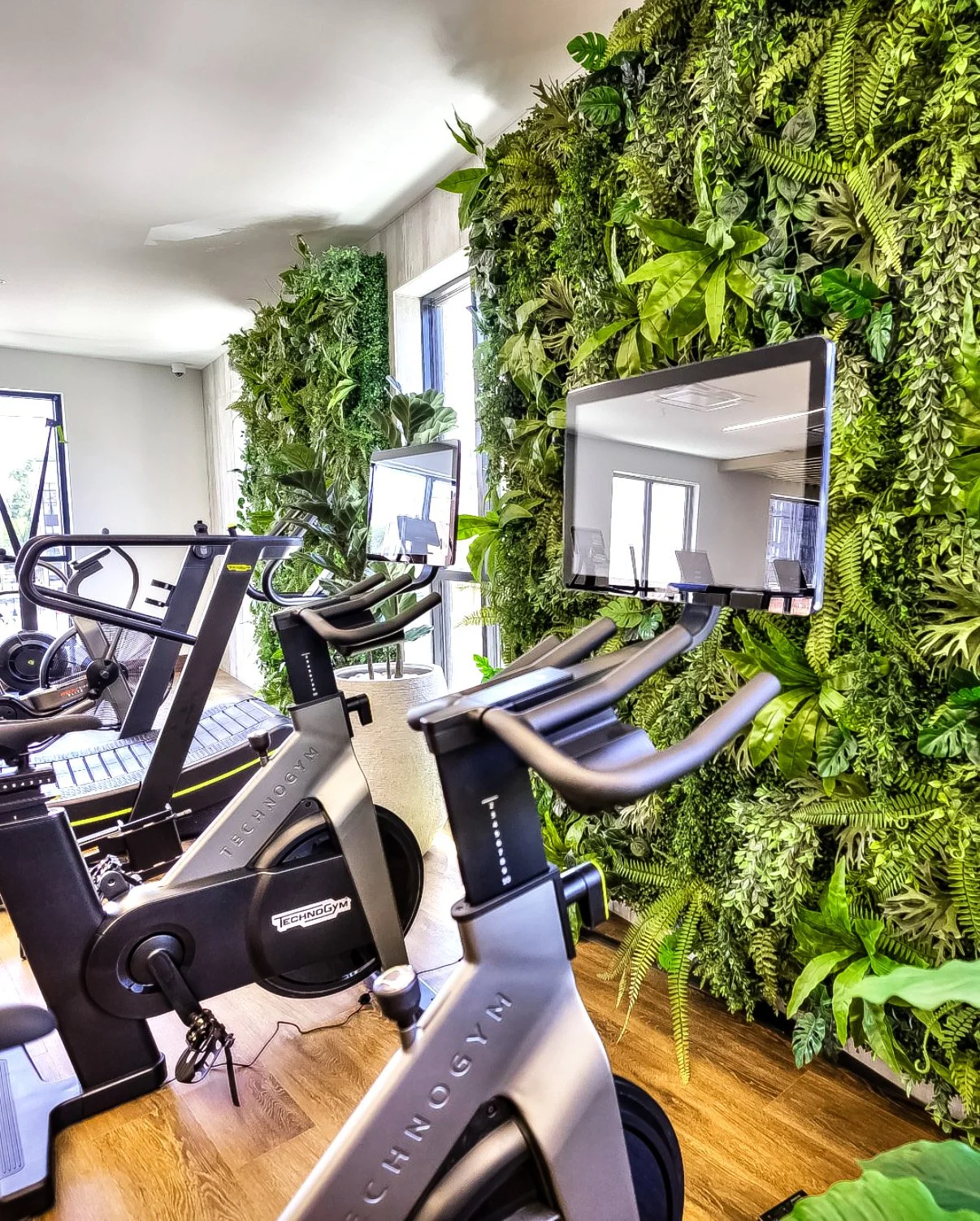 Gym replica walls.jpg