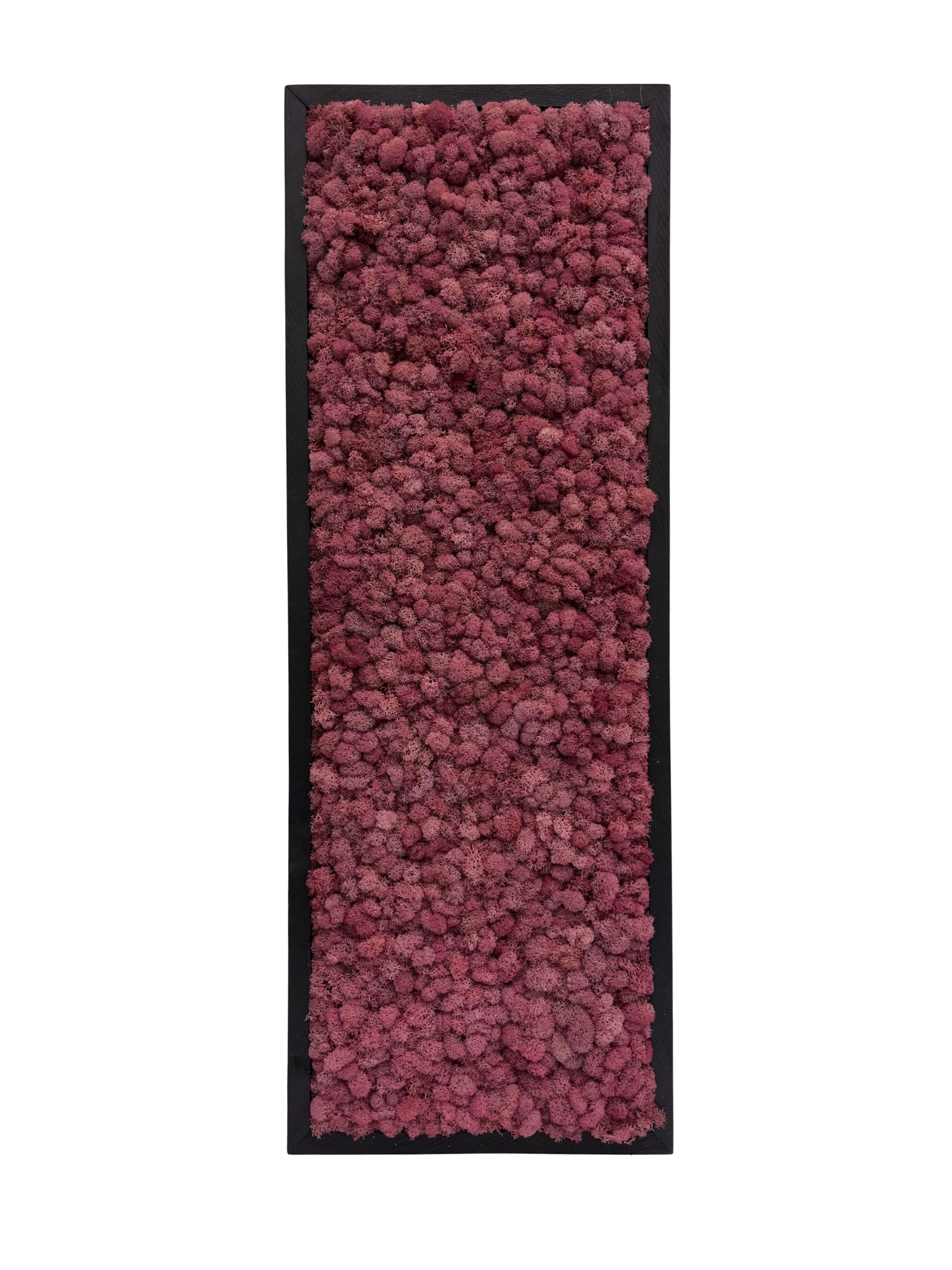 corrected-3.jpg