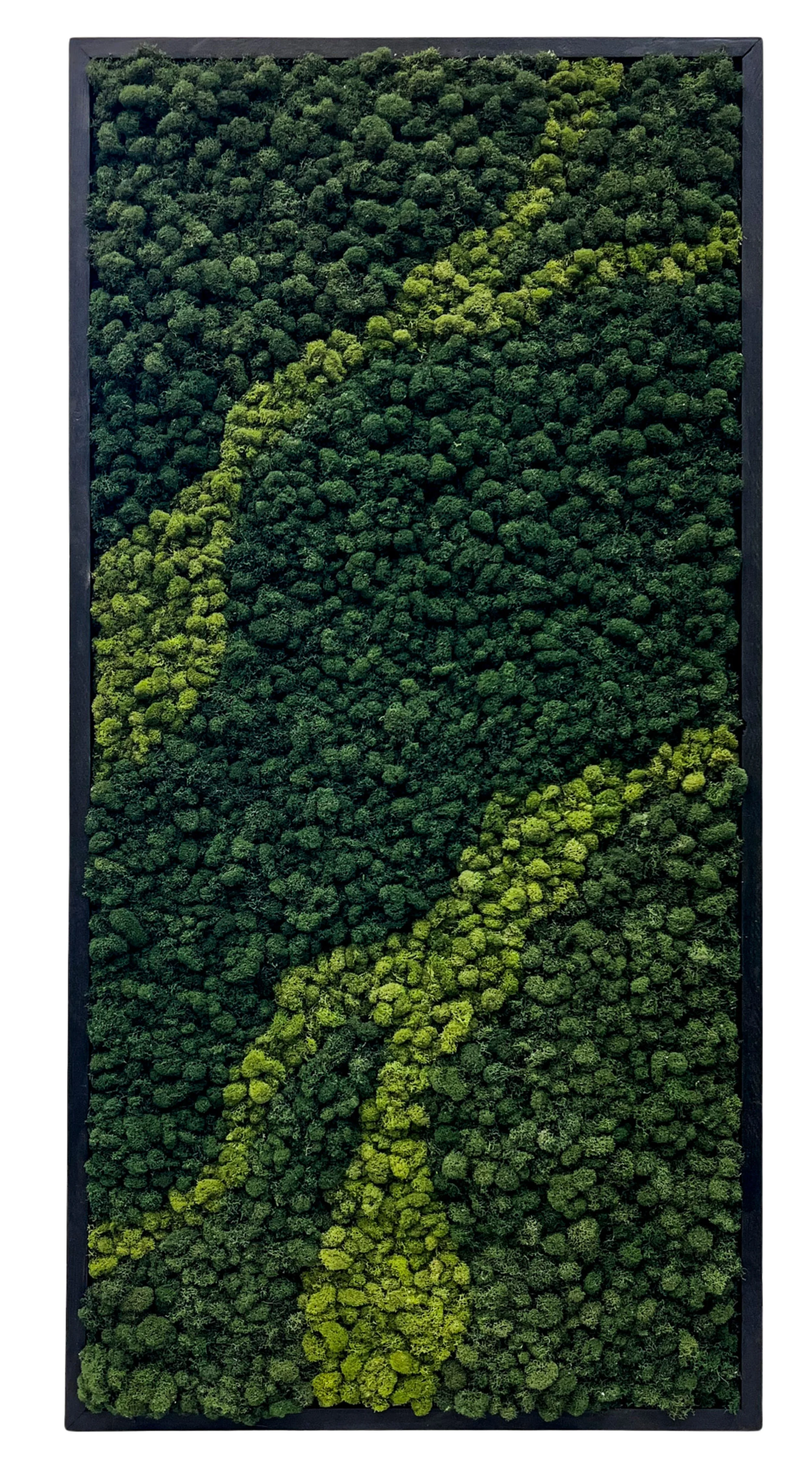 95.jpg