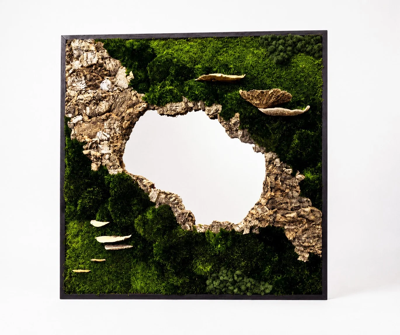 mirror-42.jpg
