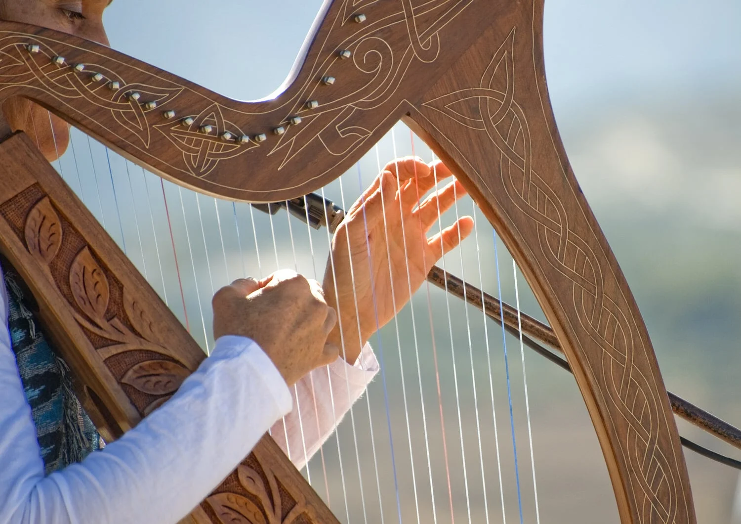 HARP