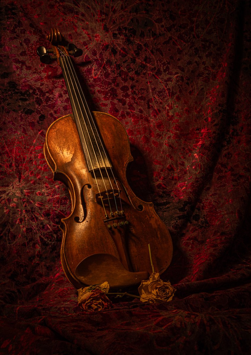 violin Helen Moore.jpg