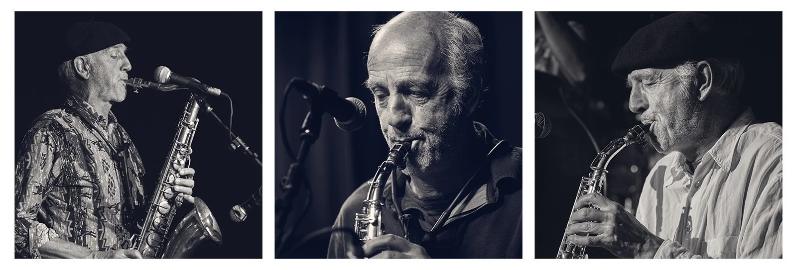1+Hitting+the+High+Notes+Hudson+Swan.jpg