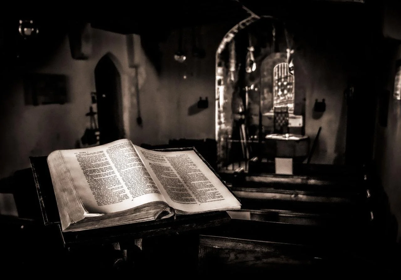 WhatsApp Image 2025-11-16 at 08.41.49.jpeg