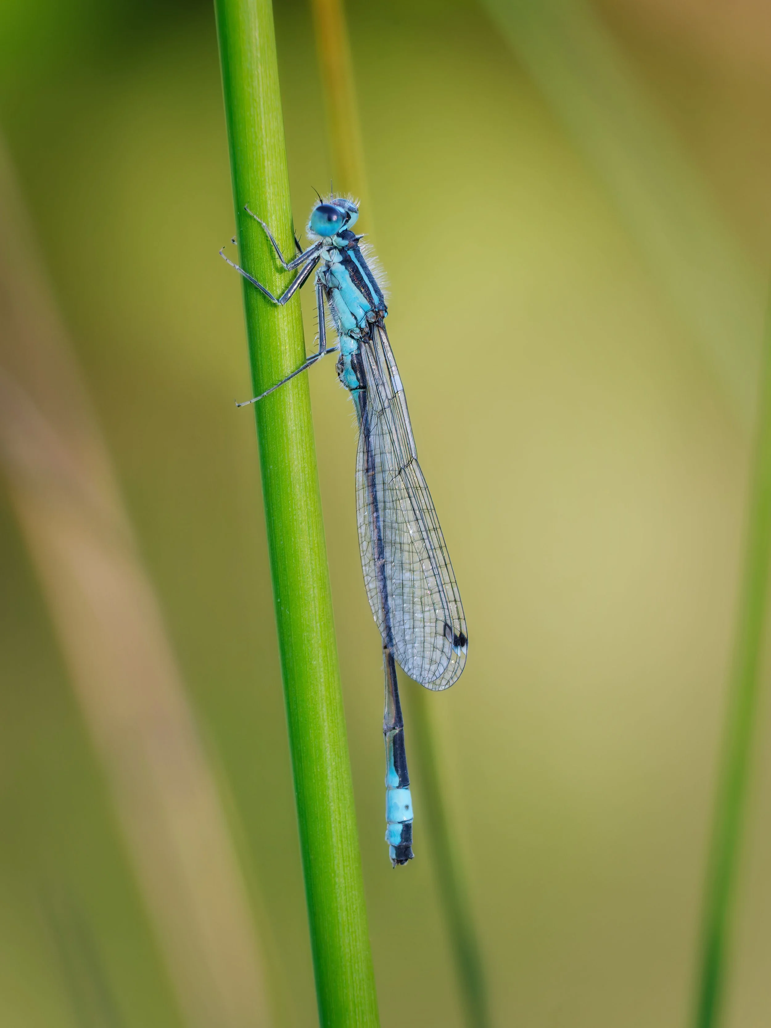 2 P1830173_DxO.jpg