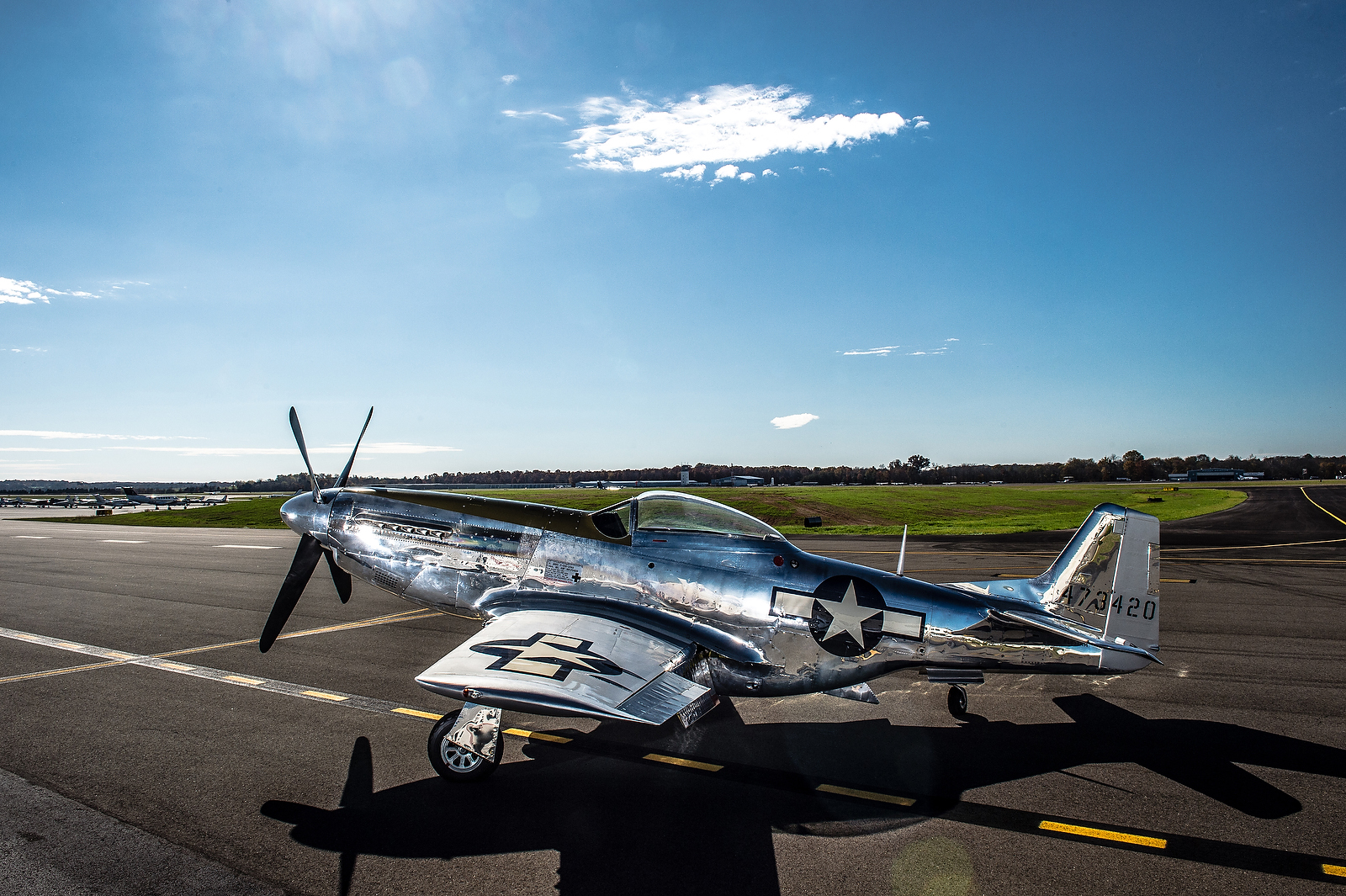 North American P-51 Mustang Aviation Art