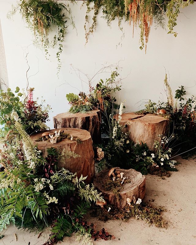 bts shot of the forest install done for @hirumstudios open house where we got to play magical forest nymphs too 🌿
studio: @hirumstudios
creative director: @cachaej