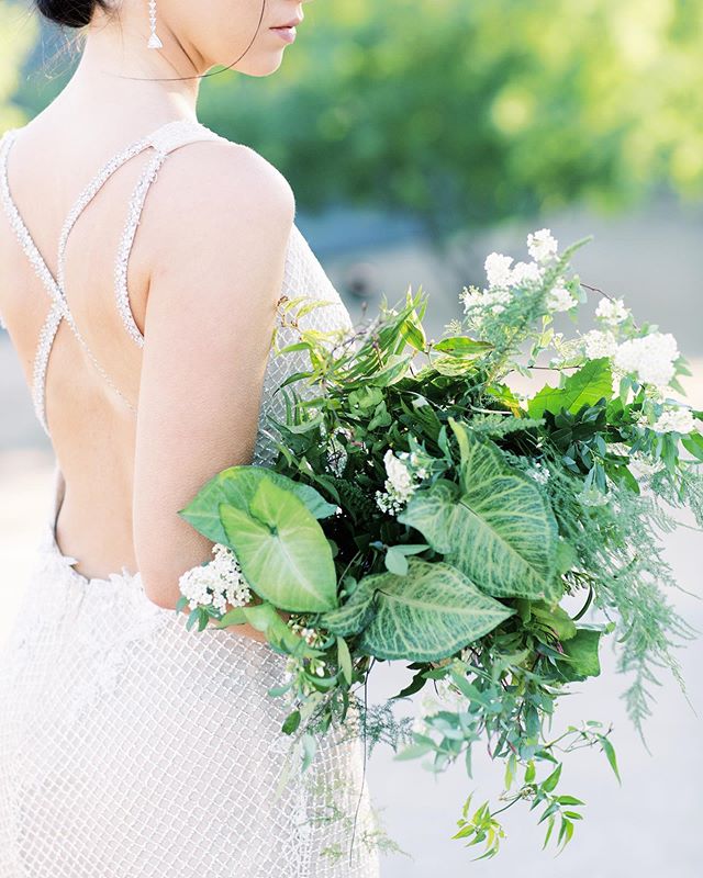 a different take on &ldquo;all greenery&rdquo; for this bouquet. we added arrowhead vine, usually a houseplant- it added interest and a different texture to this bouquet. 🌿
captured by the talented @andrewandada 
Venue: @venueonwashington
Planning &