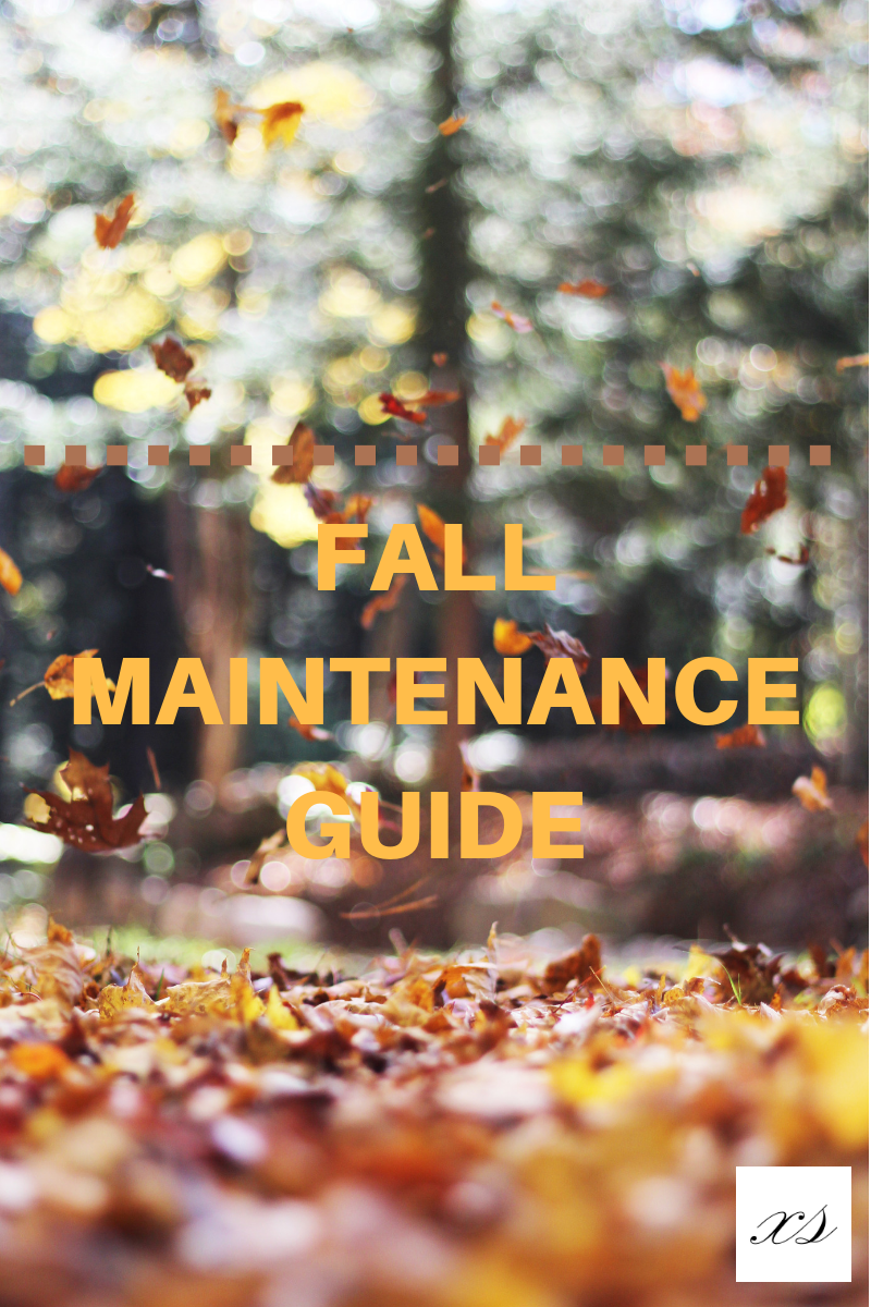      

 
   Grab Your Pumpkin Spice Latte then head home for some Home Maintenance… 
 






















    










































  

    
  
     

      

      
         
          
        
        

        
          
