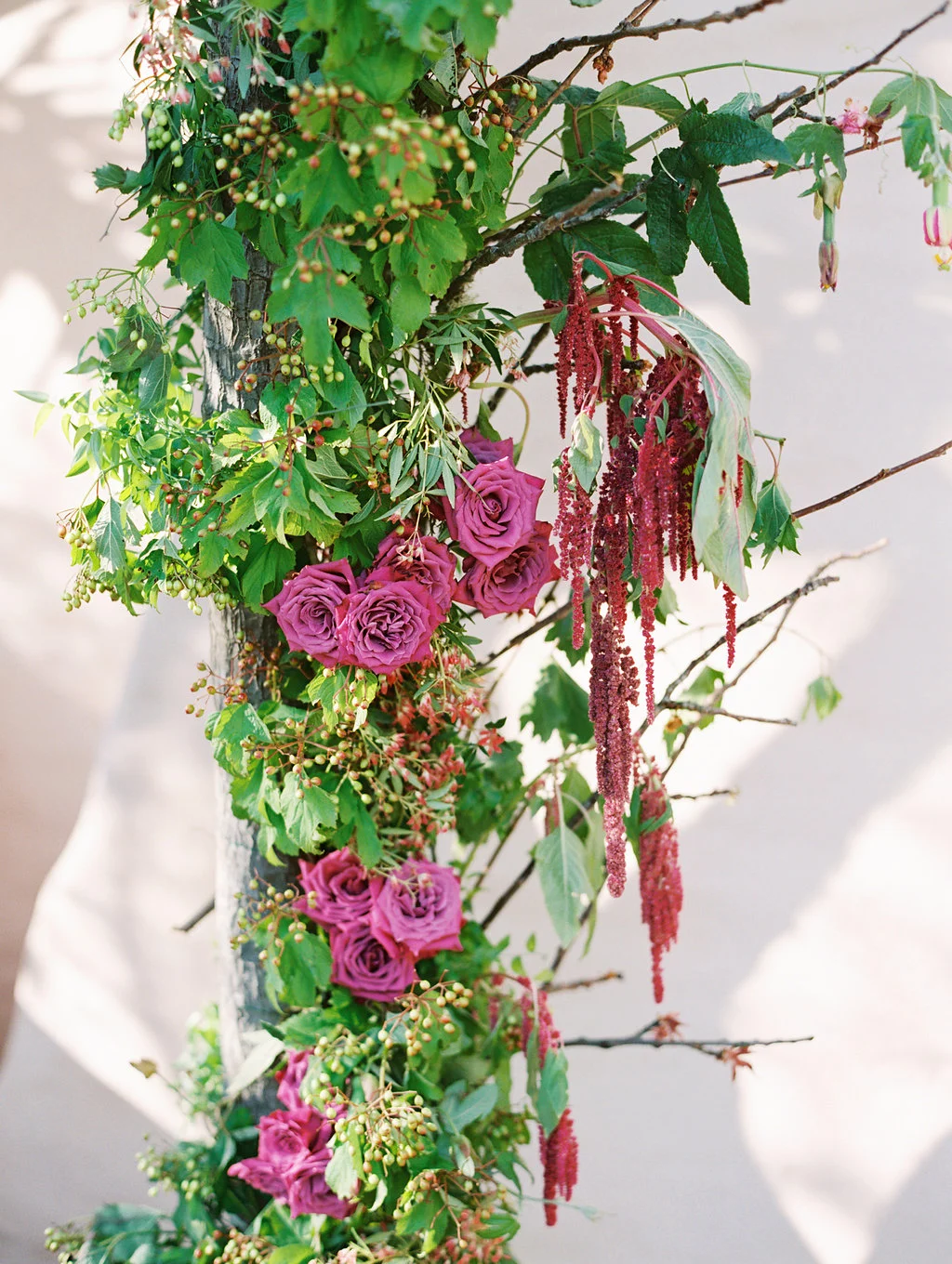   Lavender &amp; Twine Photography  