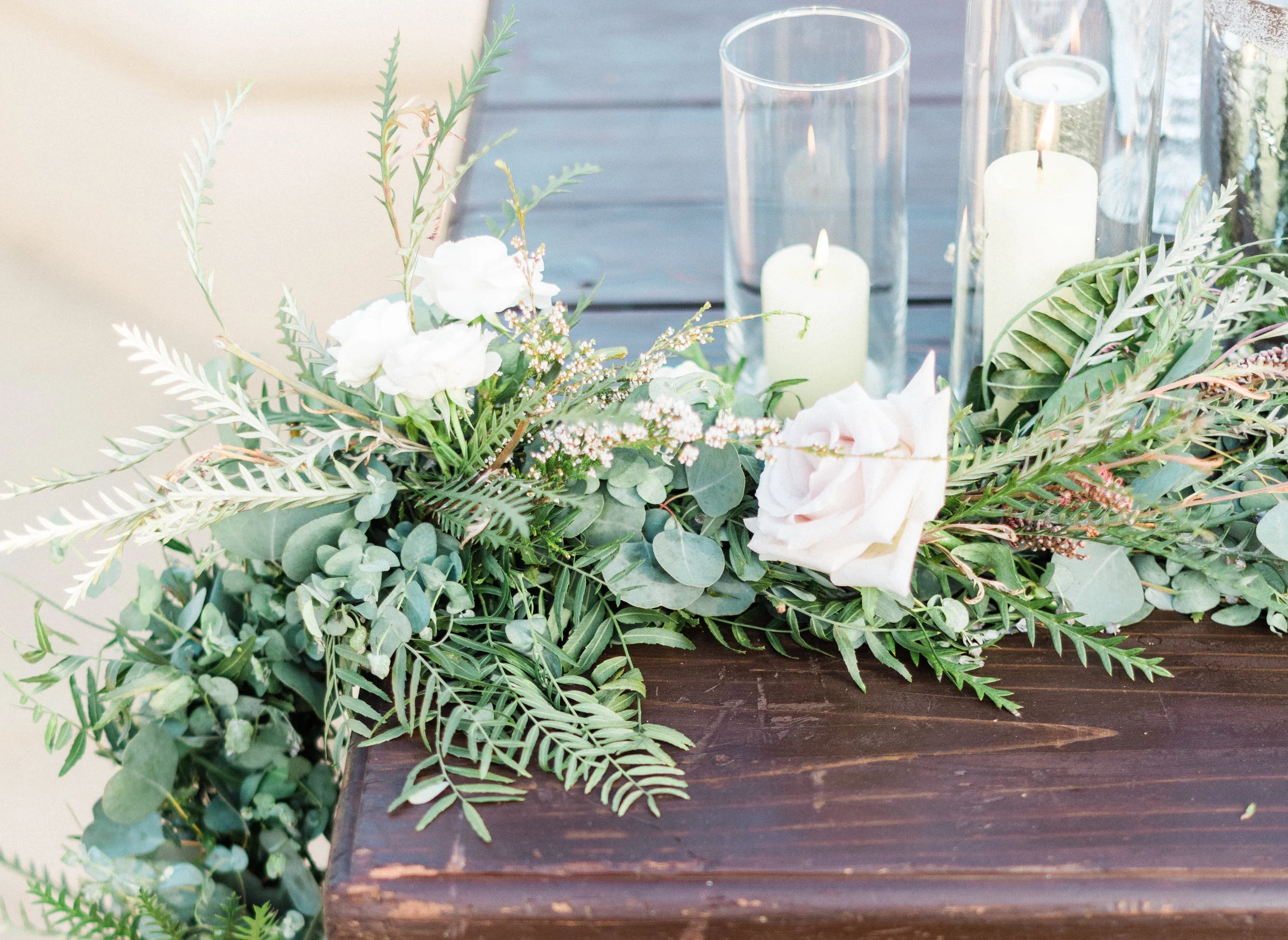 Treebird Photography