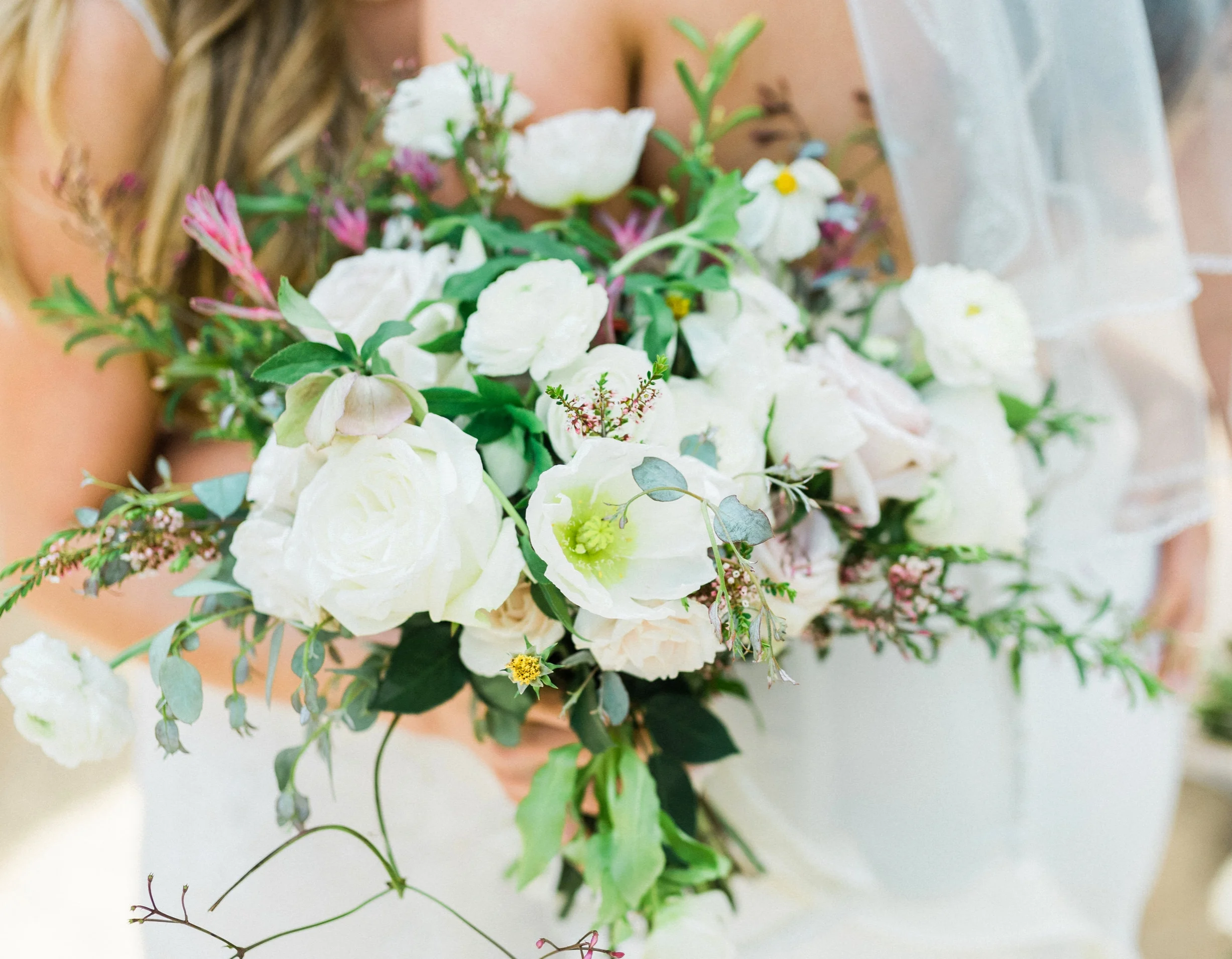 Treebird Photography