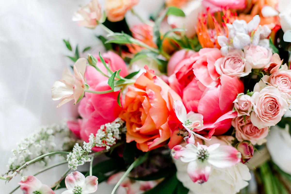 Anna Delores Photography