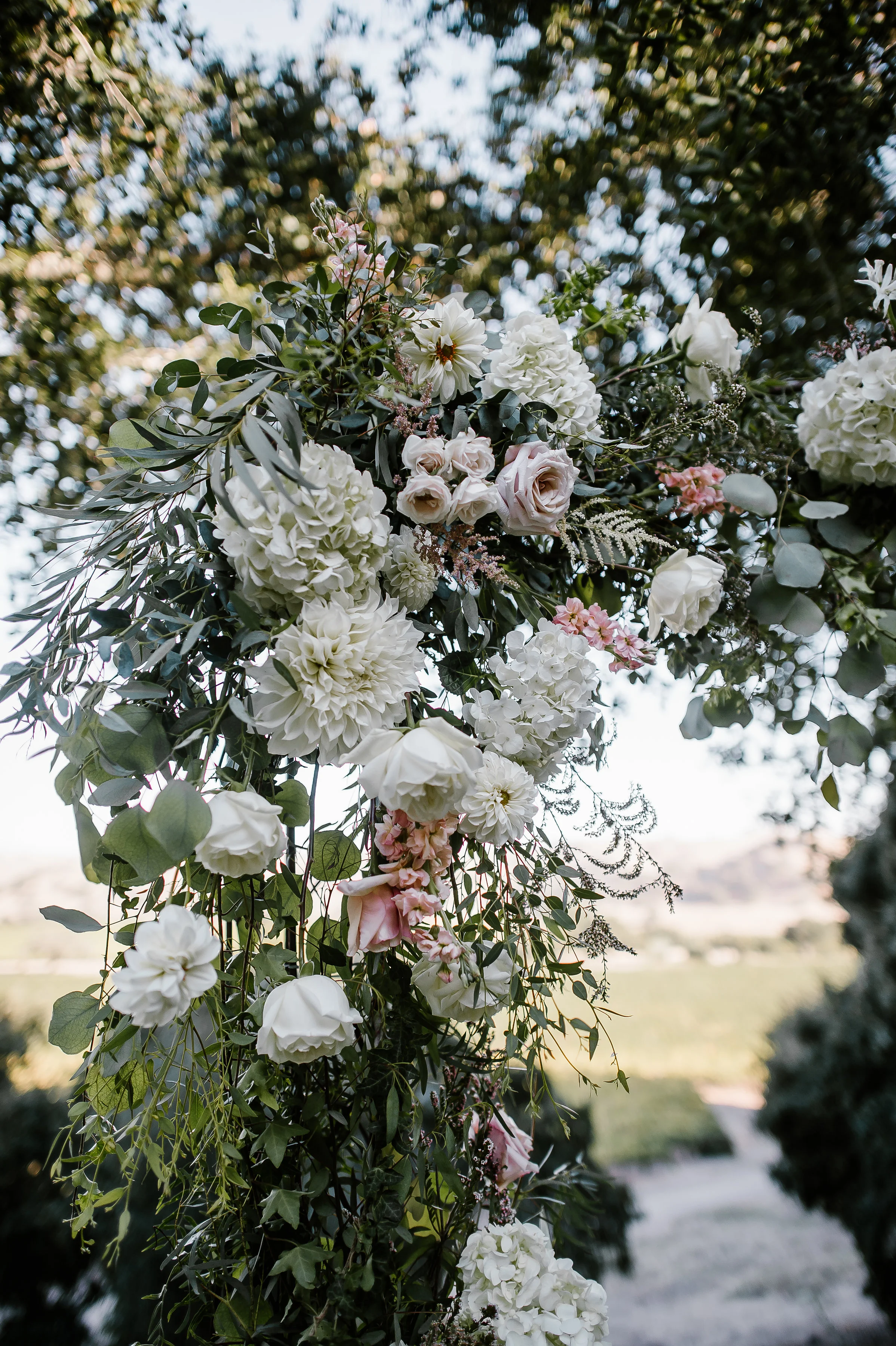 Michelle Ramirez Photography