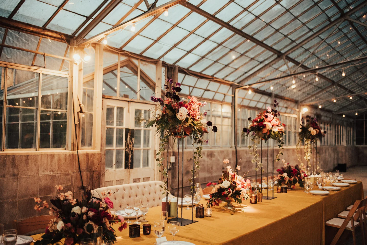 Tessa Tadlock Photography