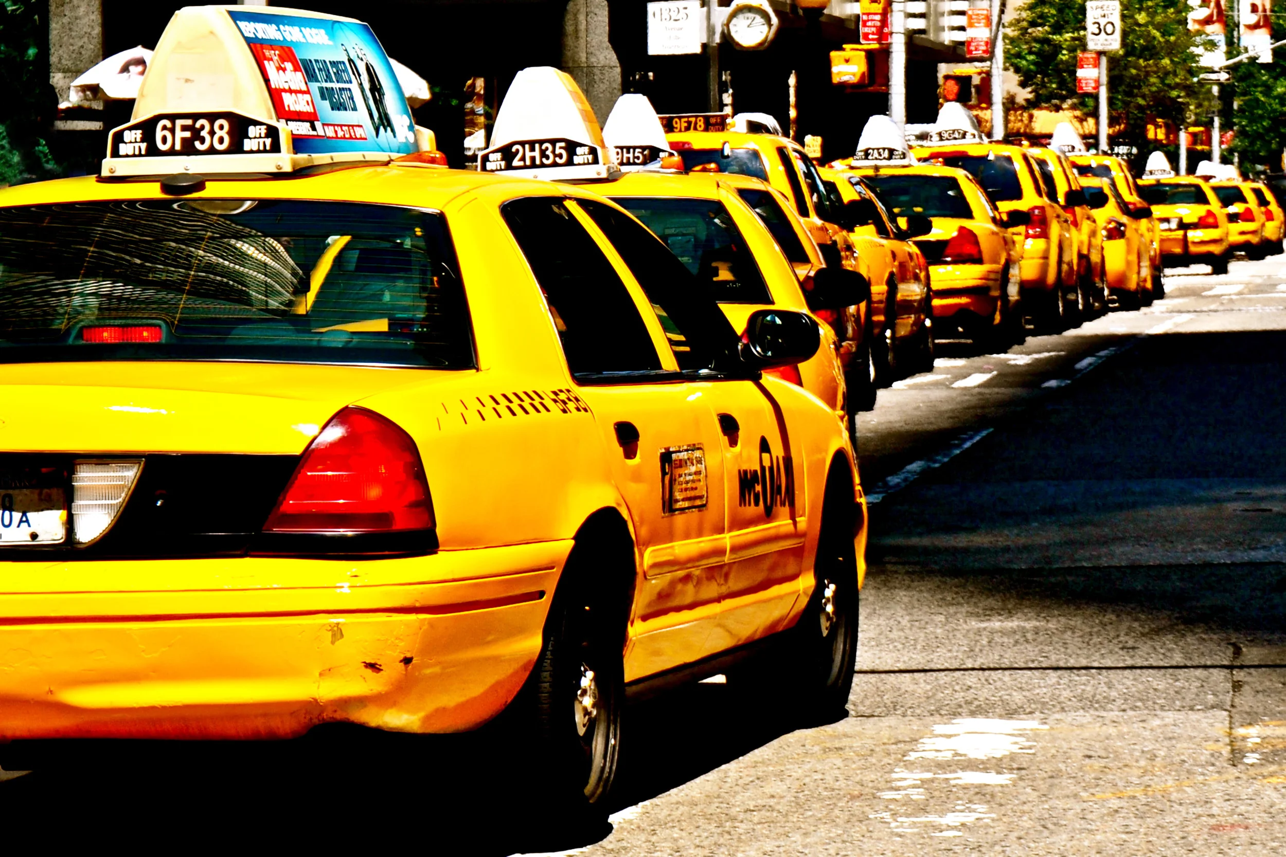 1_30x20_cabs.jpg