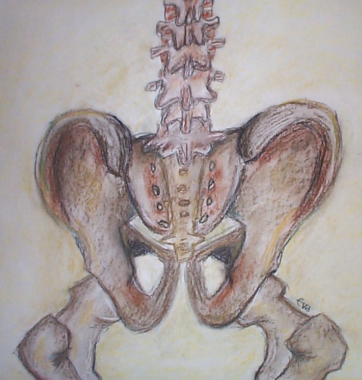 charcaol pelvis.JPG