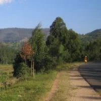 On the Bank of the Akanyaru River - Rwanda, 1994