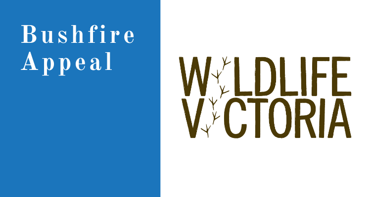 Bushfire appeal