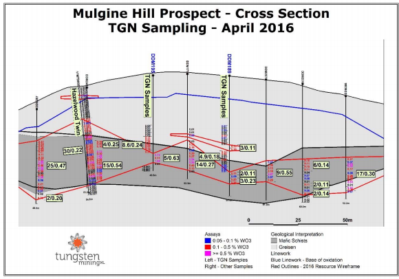 Figure 1: Cross section showing Tungsten Mining sampling of Minefields and ANZECO drilling. 