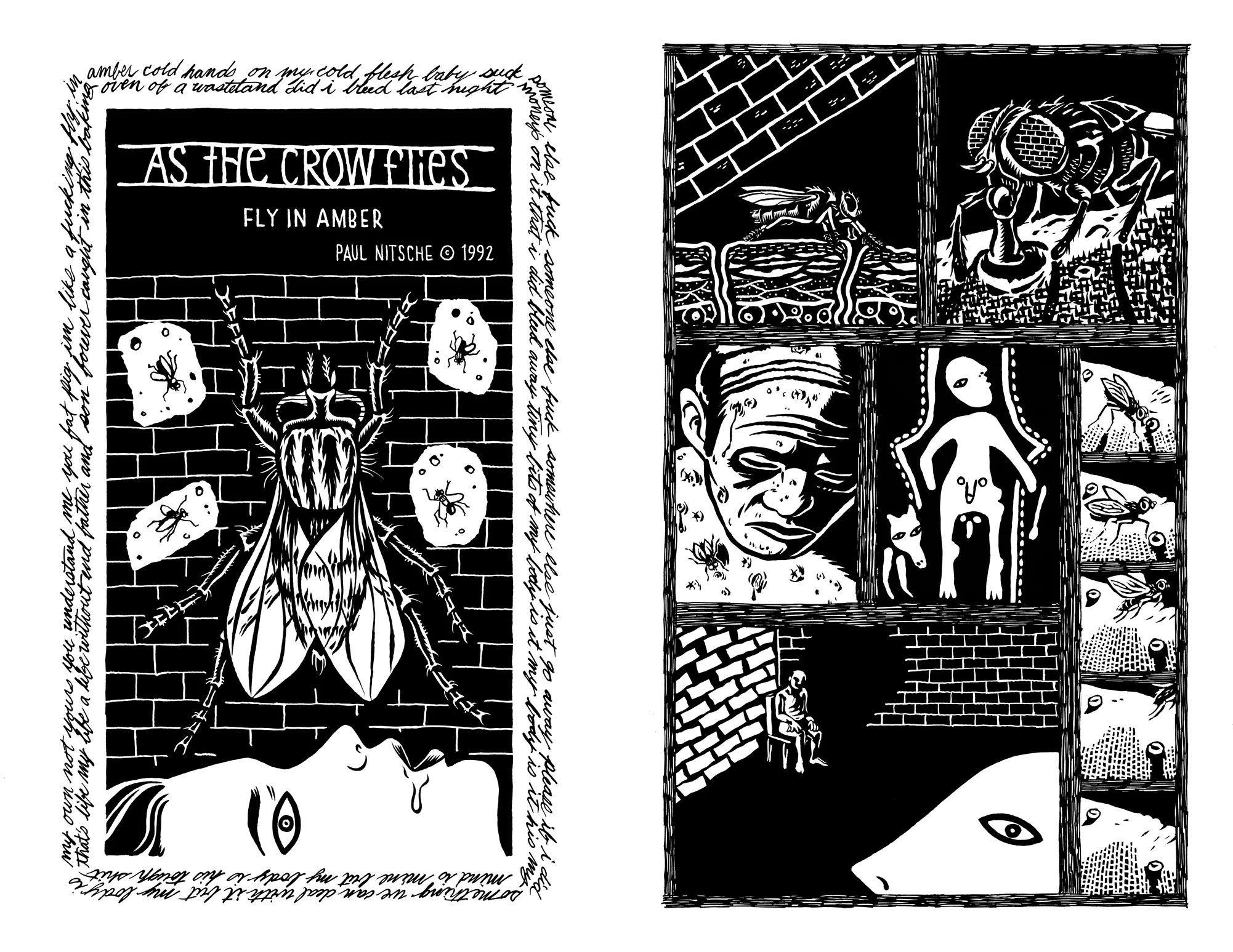 CrowFlies1 1and2.jpg