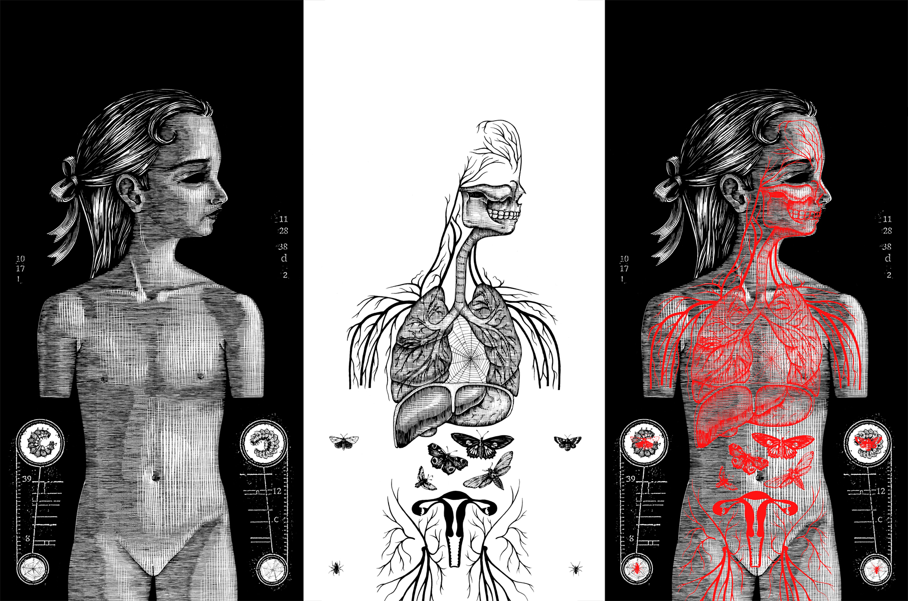   Oneiroid Psychosis,  Fantasies About Illness.  Inside booklet.  1996. Pen and ink, Scratch board. Left- Base drawing. Middle- Overlay drawing. Right- Composite: overlay drawing printed in red on Mylar film. Released by Decibel Records. 