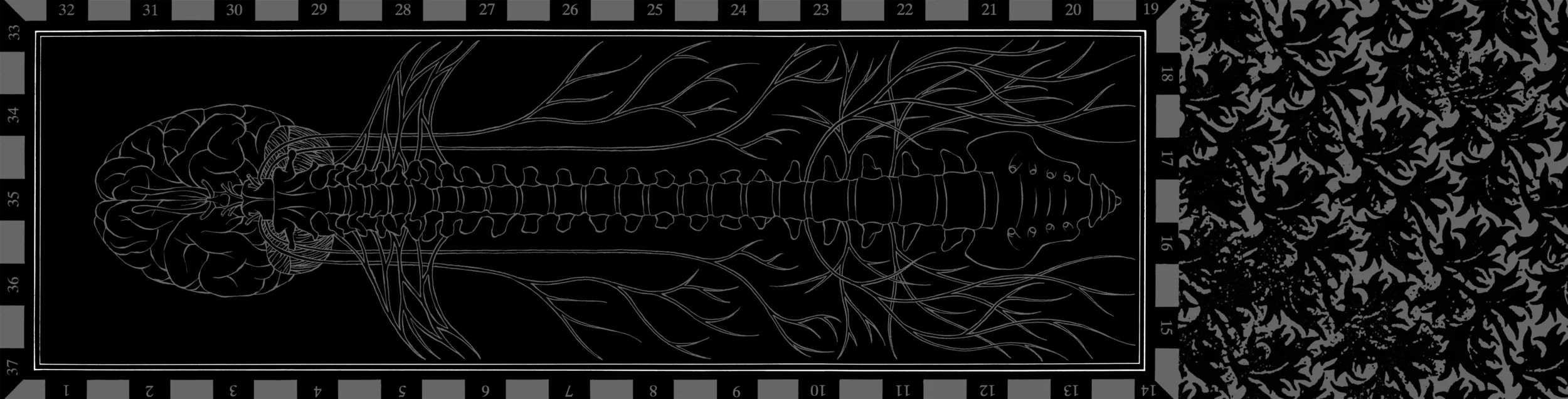 Oneiroid Psychosis, Stillbirth . Gatefold CD booklet, inside background illustration for lyrics and acknowledgements . 1995. Pen and ink. Released by Decibel Records.
