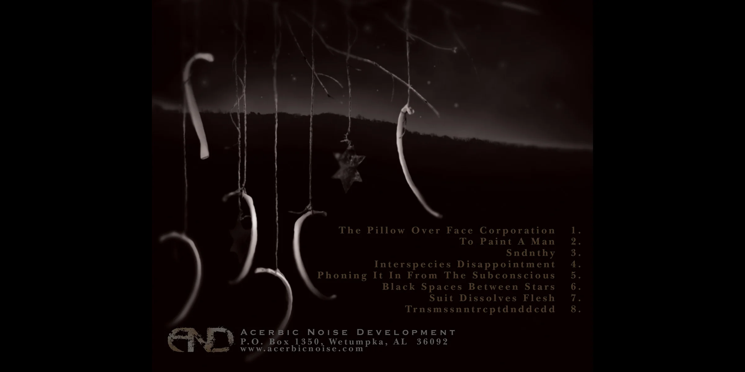 Gezoleen, Black Spaces Between Stars . CD tray, back. 2005. Photographic illustration. Released by Acerbic Noise Development.