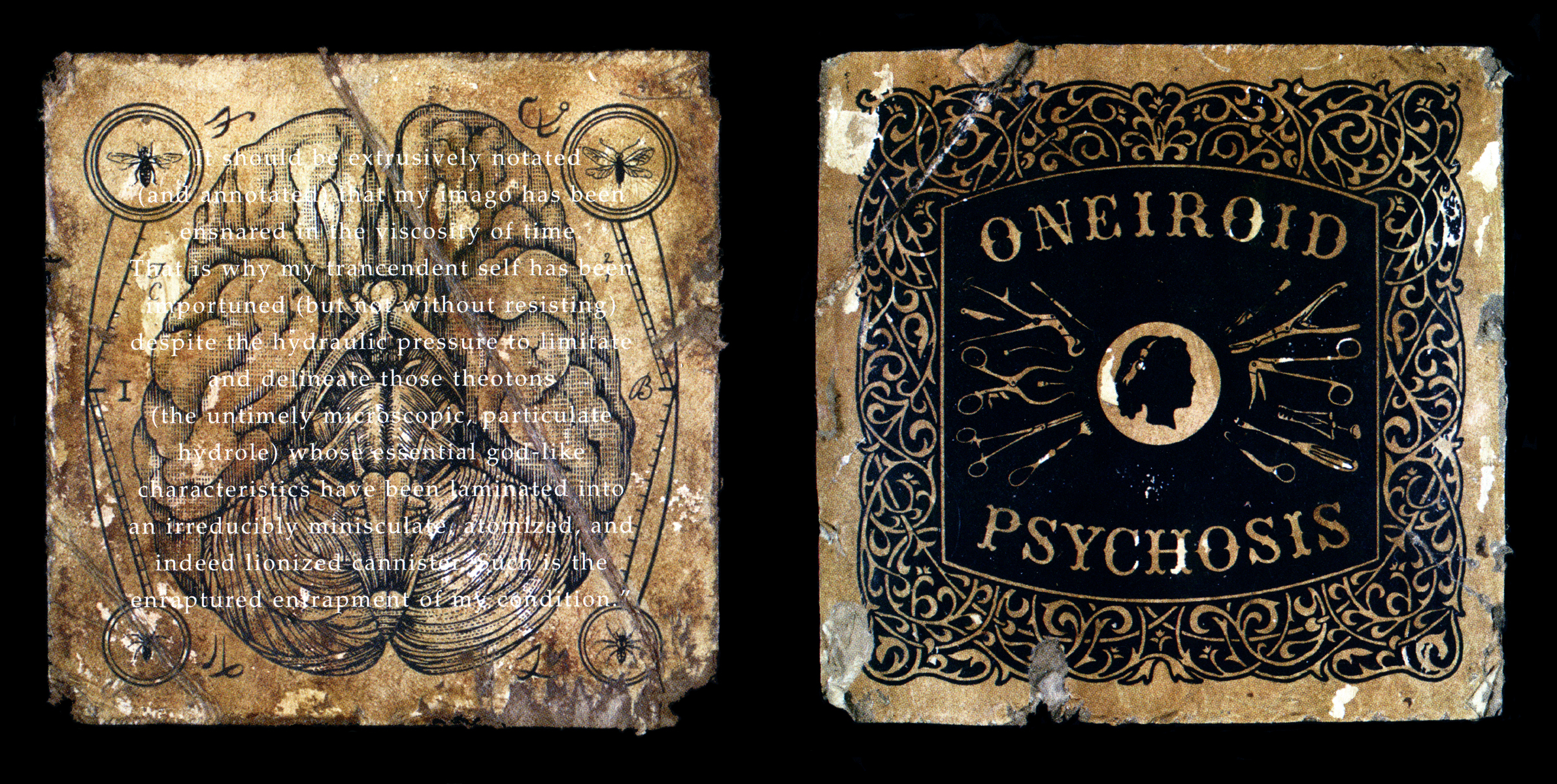   Oneiroid Psychosis,  Fantasies About Illness.  Back and front booklet covers.  1996. Pen and ink, Scratch board, Acrylic. Letterpress printed on board. Released by Decibel Records. 