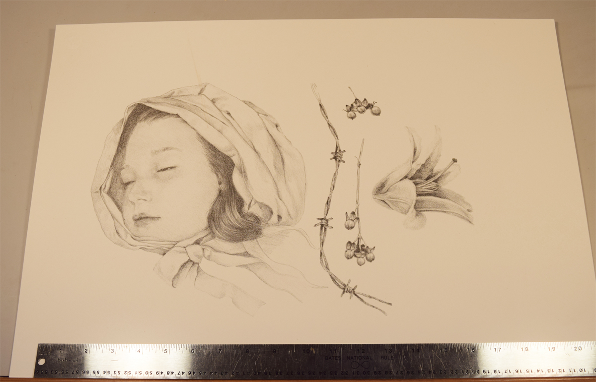  The lithograph print, ready to be painted and cut out. The lily wasn't included in the final print, as I liked the roundness of the head with the linear berry stalks and barbed wire. Printed by Barry Roal Carlsen. 