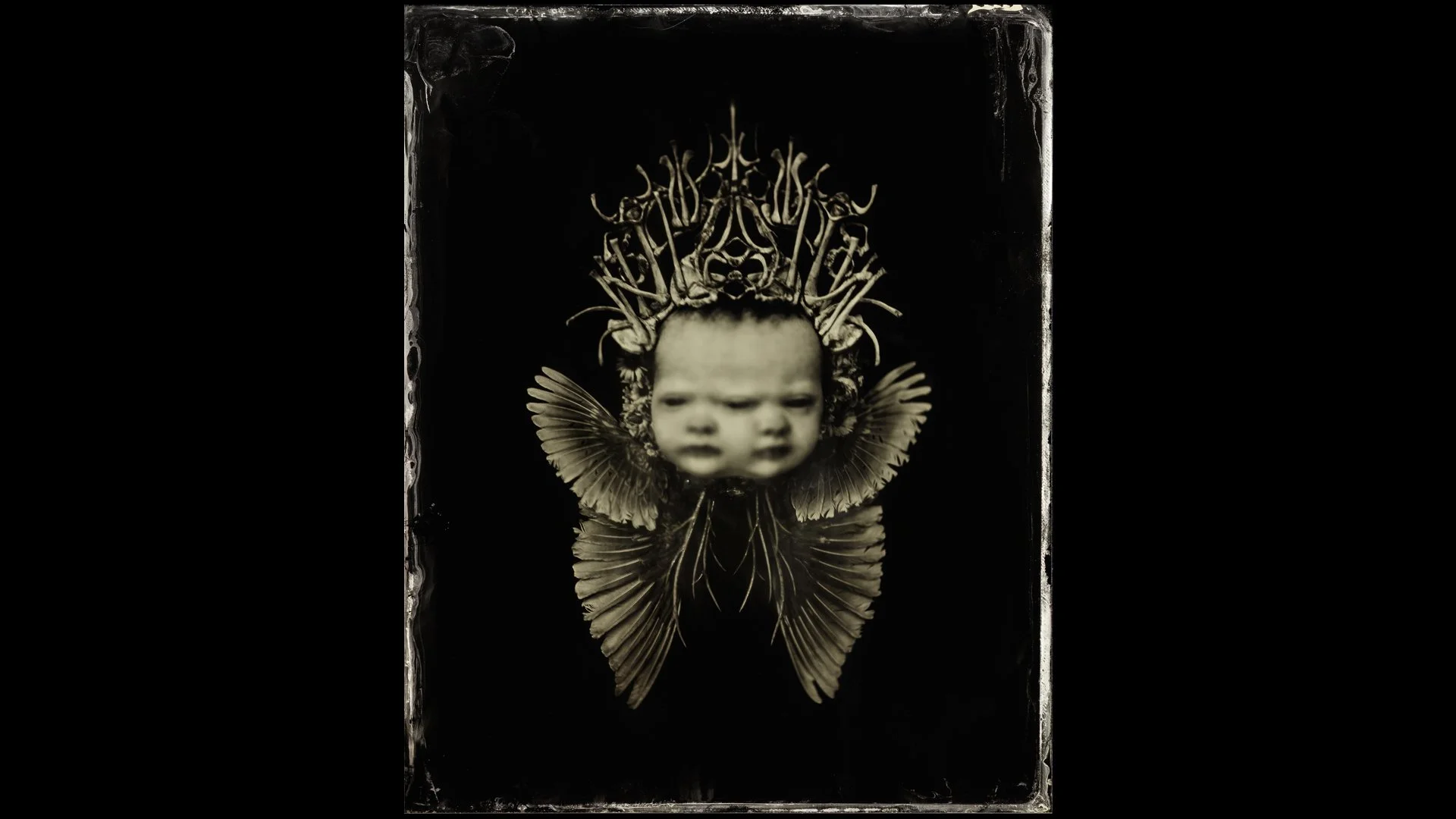 Crowned Diprosopus in Ascension Splash.jpg