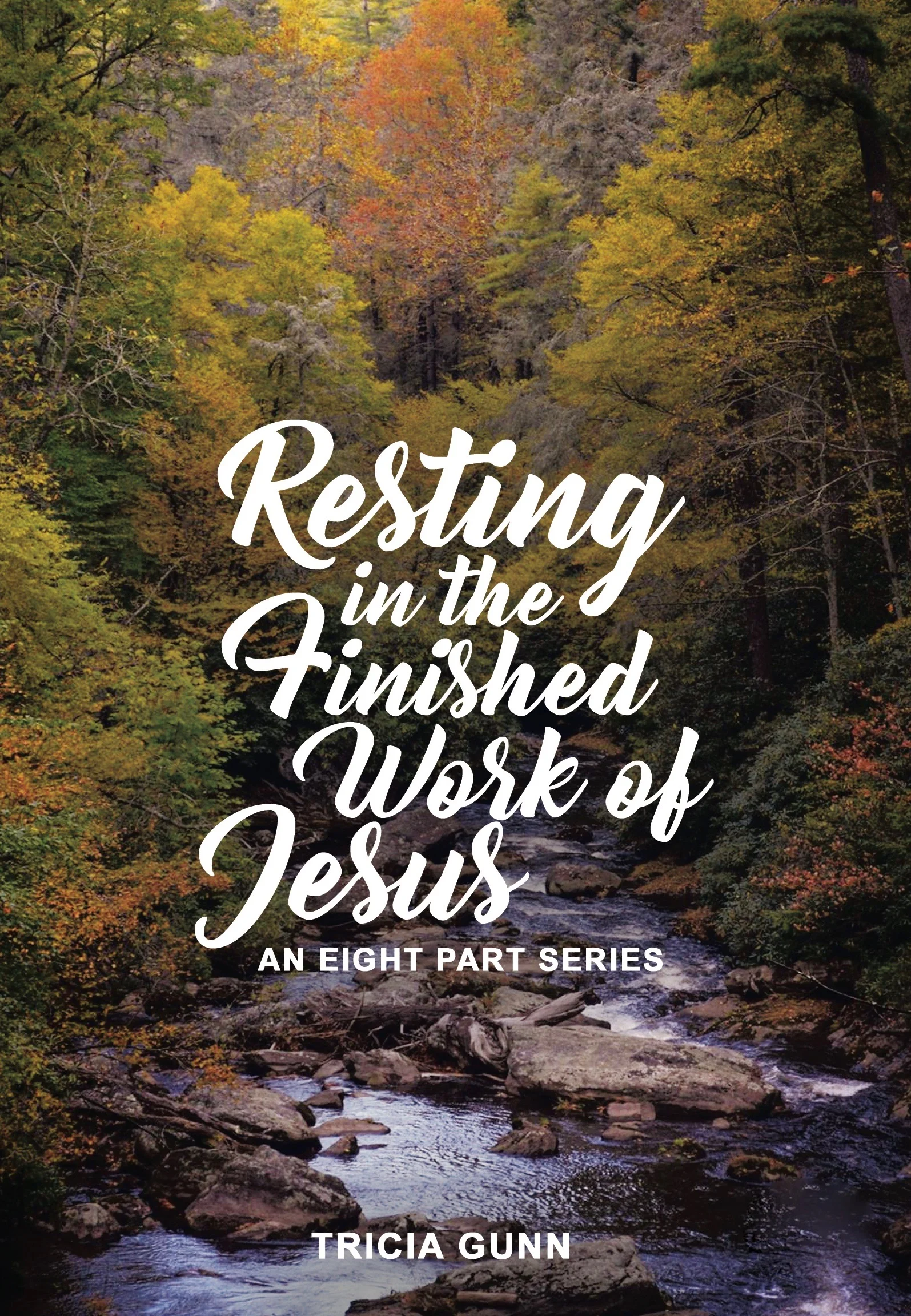 Resting-In-The-Finished-Work-of-Jesus_CD.jpg