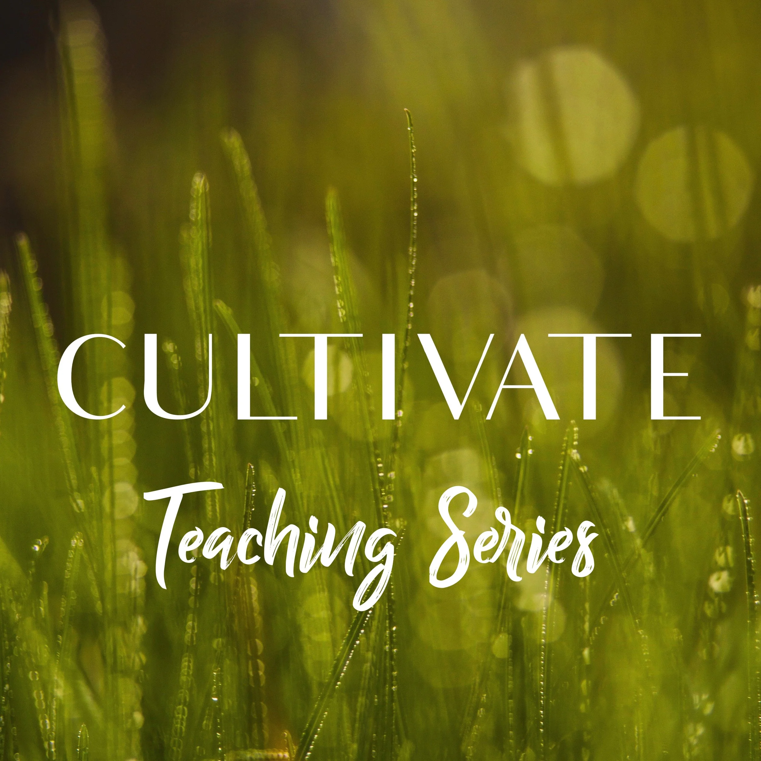 Cultivate simple, ALL CAPS, teaching series.jpeg