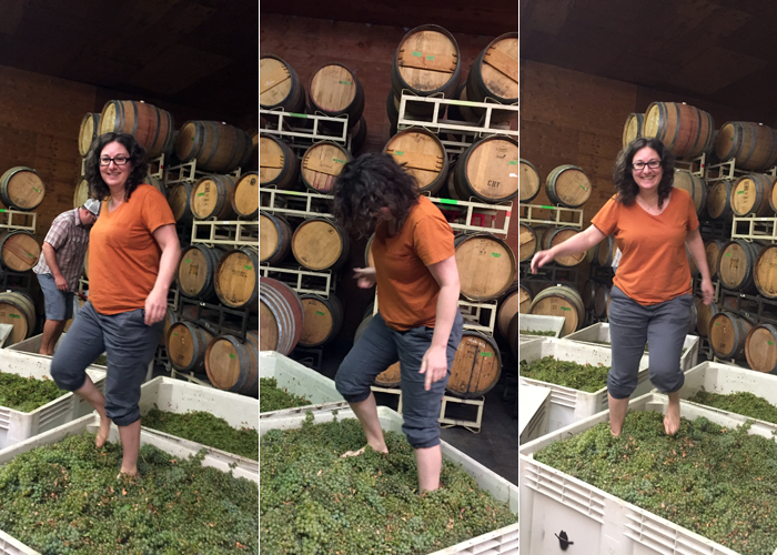 Stomping verdelho grapes at Forlorn Hope last August, which appeared on Bin Notes this week. 