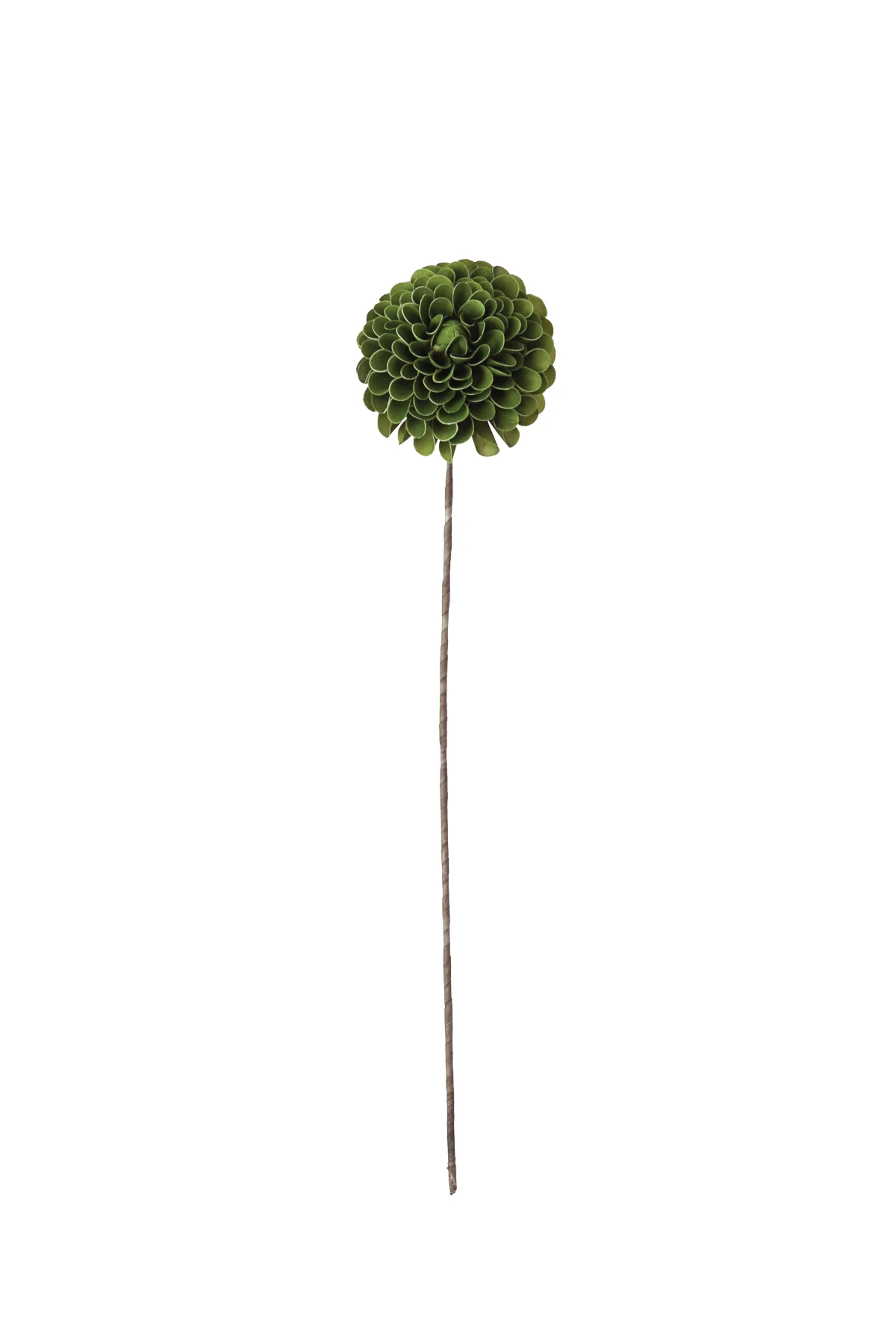 Botanica #328