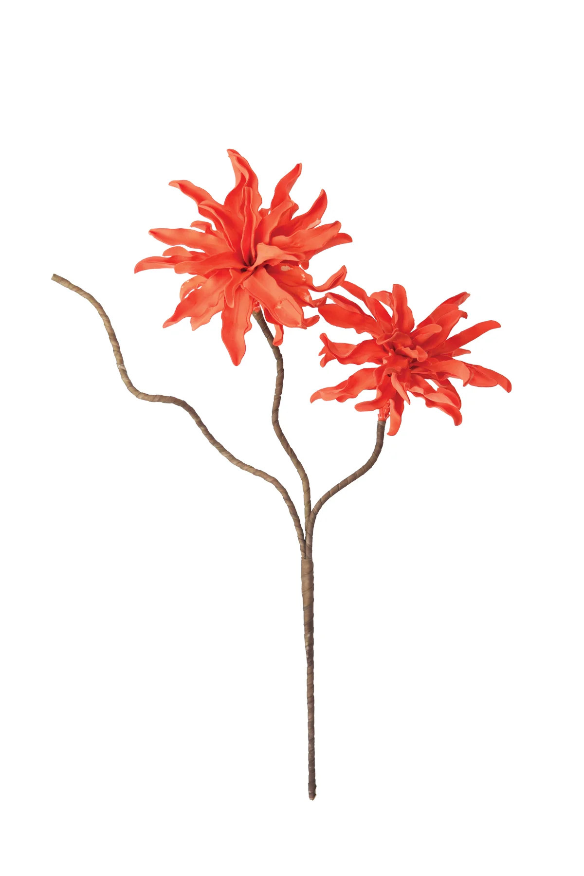 Botanica #327
