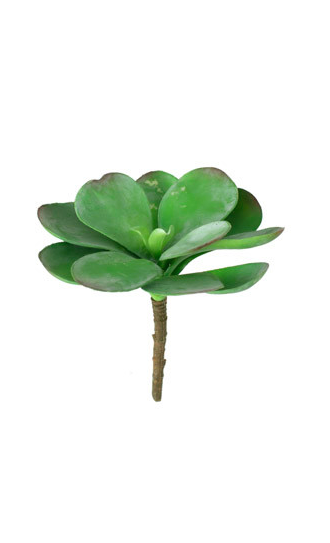 Artificial Paddle Plant
