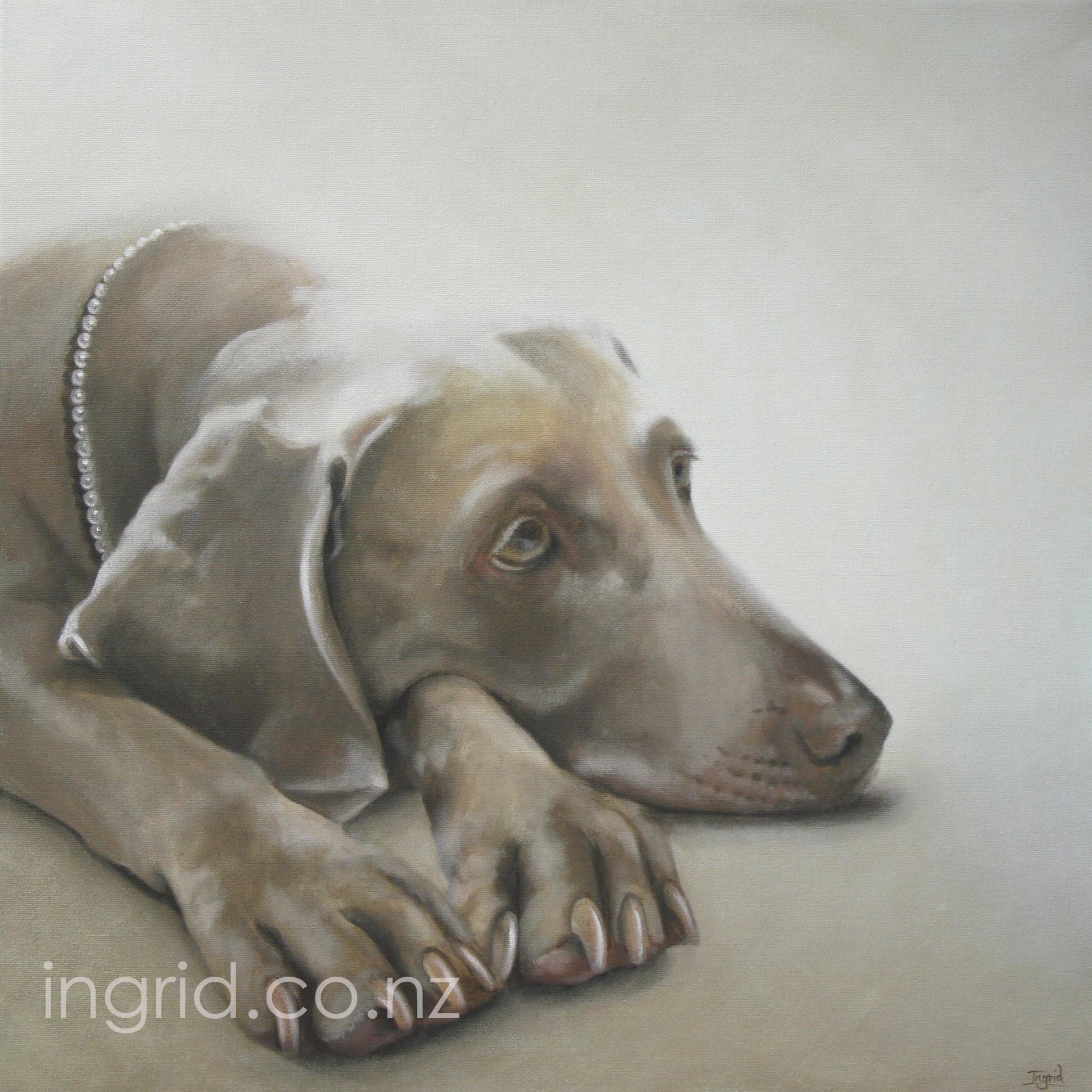 Tilly 1 watermark.jpg