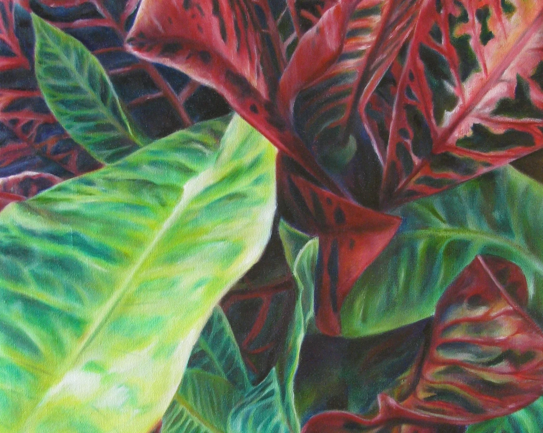 Plant Life I’ve created several collections of work around plant life for different shows. See more »
