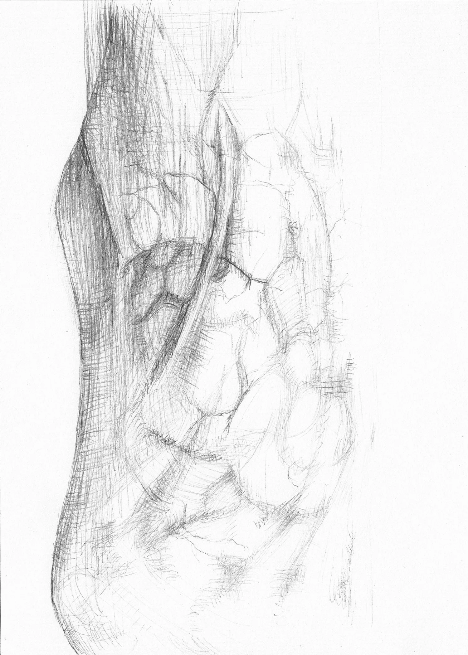 Support system 5” x 7”, Graphite on Bristol board $35
